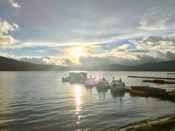 d0086225_23421639.jpeg