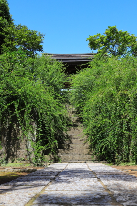 f0348831_09150811.jpg