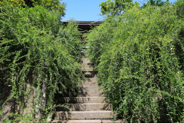 f0348831_09150934.jpg