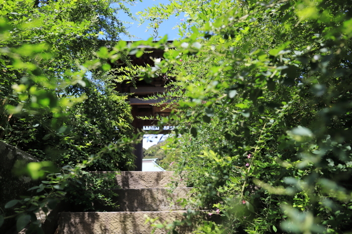 f0348831_09151049.jpg