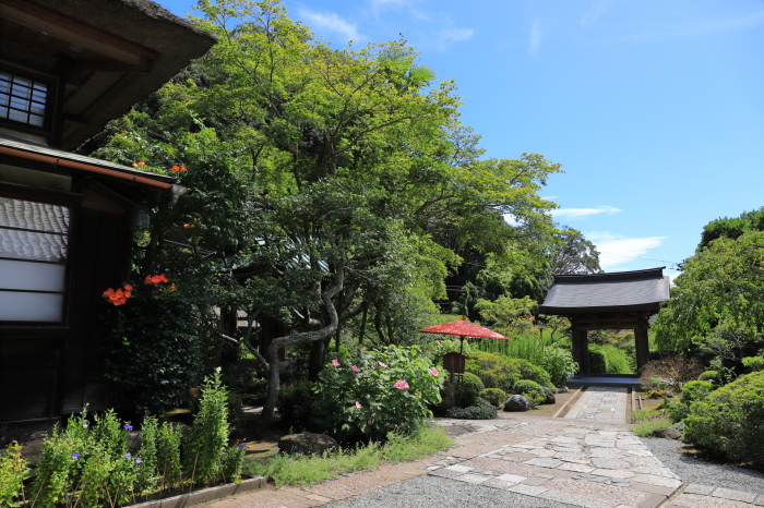 f0348831_09151901.jpg