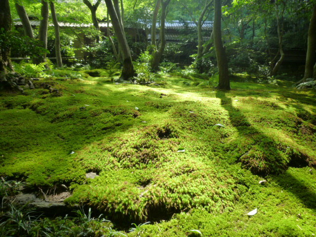 d0106134_20232931.jpg