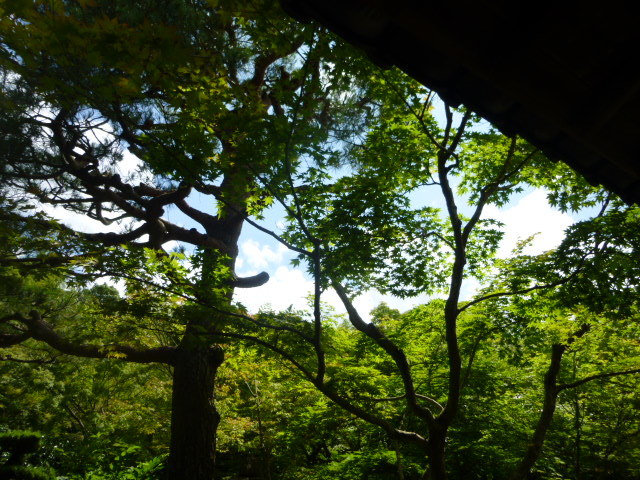 d0106134_20234044.jpg