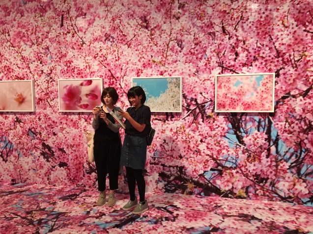 蜷川実花展へ 白秋の黄昏 蜷川実花展へ 白秋の黄昏