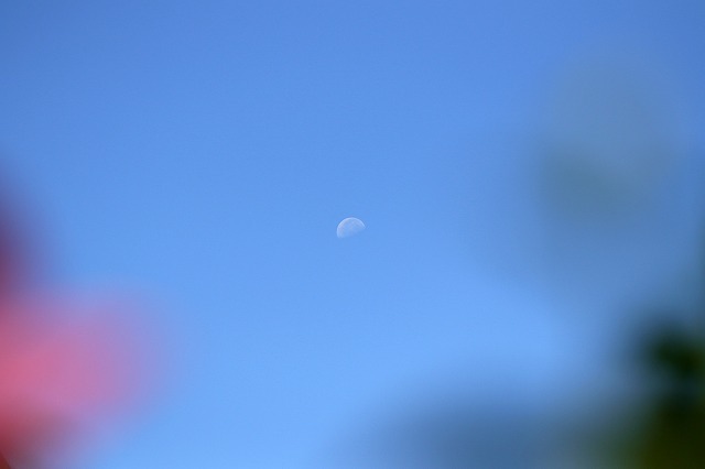 a0242438_19192186.jpg