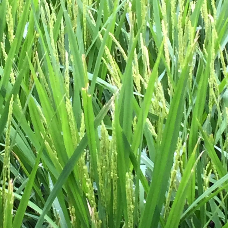 b0022138_19301128.jpg