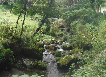 e0172950_19403287.jpg