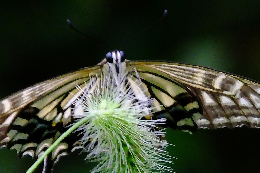 b0236251_11393204.jpg
