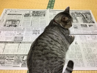 a0346455_06345811.jpeg