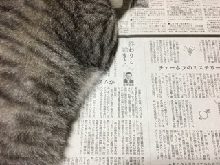 a0346455_06393995.jpeg