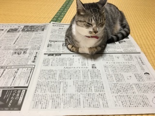 a0346455_06502811.jpeg
