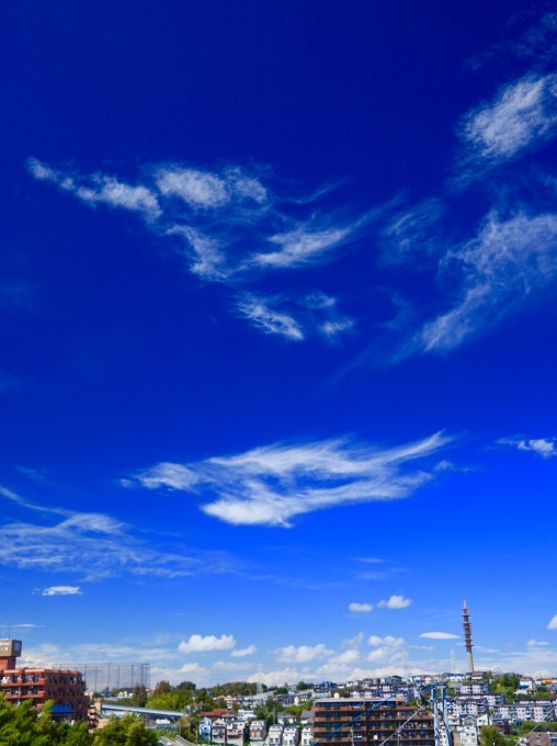 a0248459_13412346.jpg