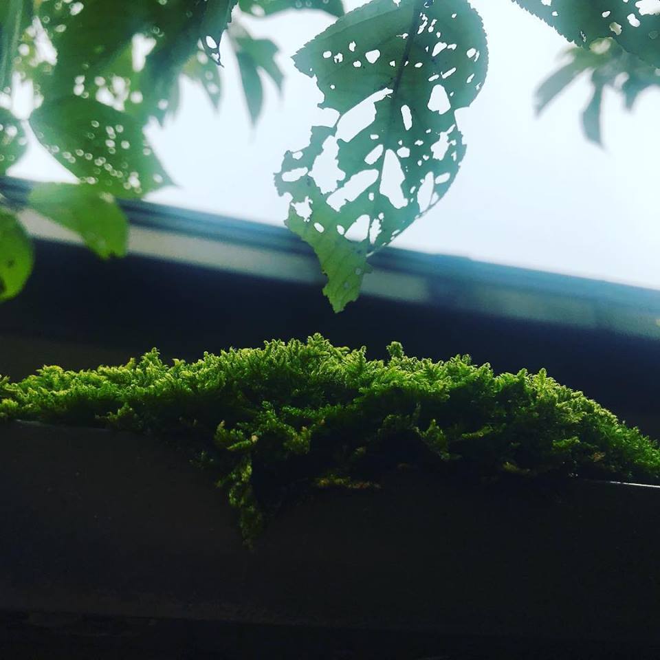 c0115560_09591628.jpg