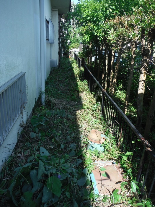 空き屋リフォーム ~ フェンス取替。_d0165368_05295527.jpg