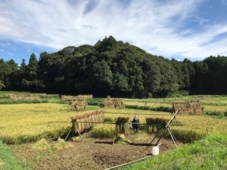 稲刈り終了_b0034072_18023583.jpg
