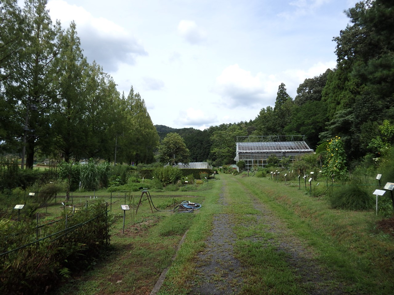 d0054276_20321215.jpg