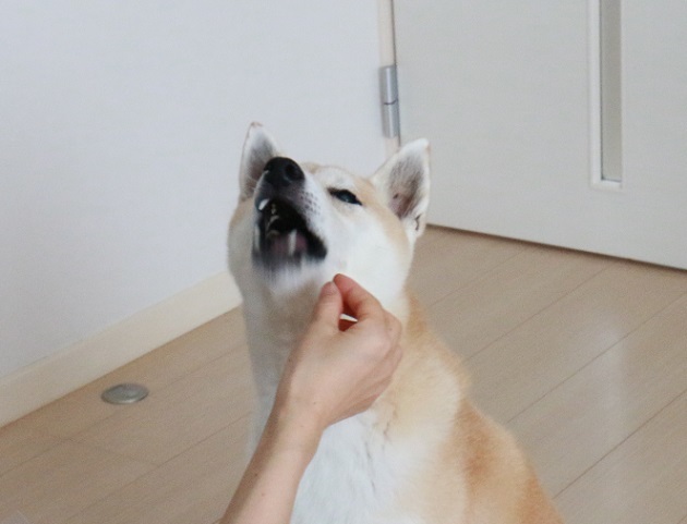 f0230777_20540491.jpg