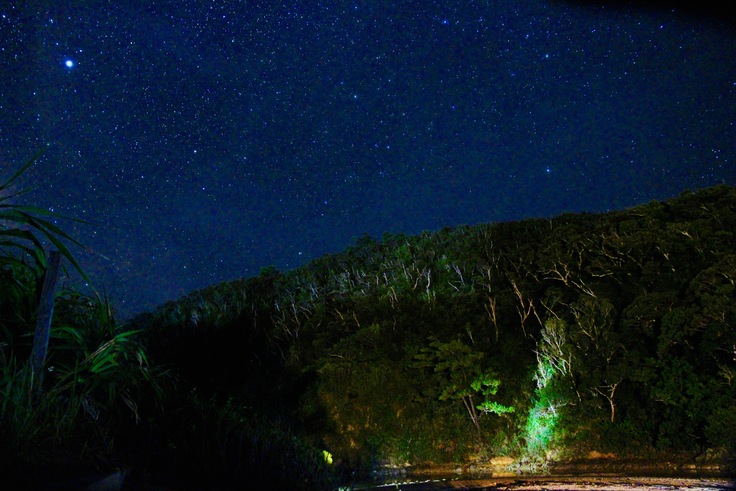 d0363878_0493635.jpg