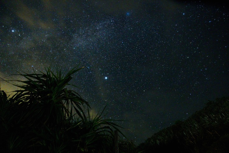 d0363878_0493747.jpg