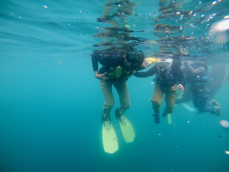 d0363878_14421339.jpg