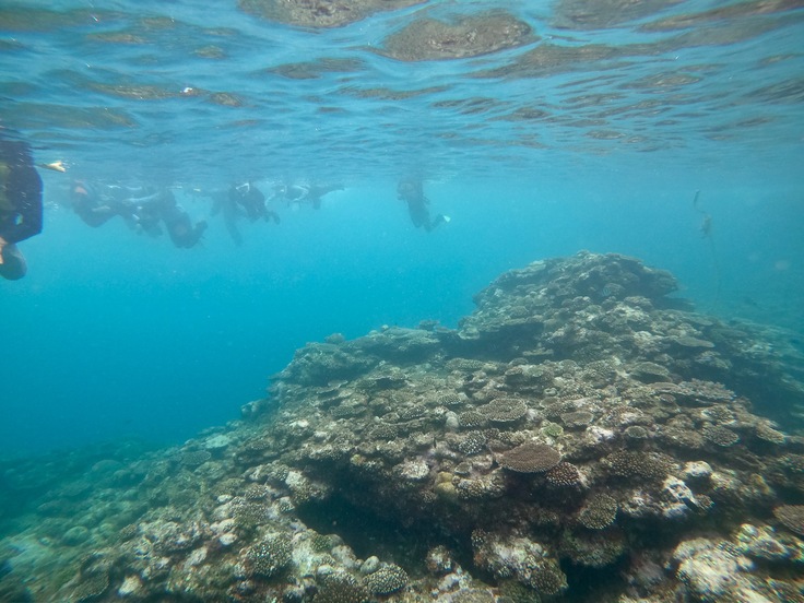 d0363878_14421631.jpg