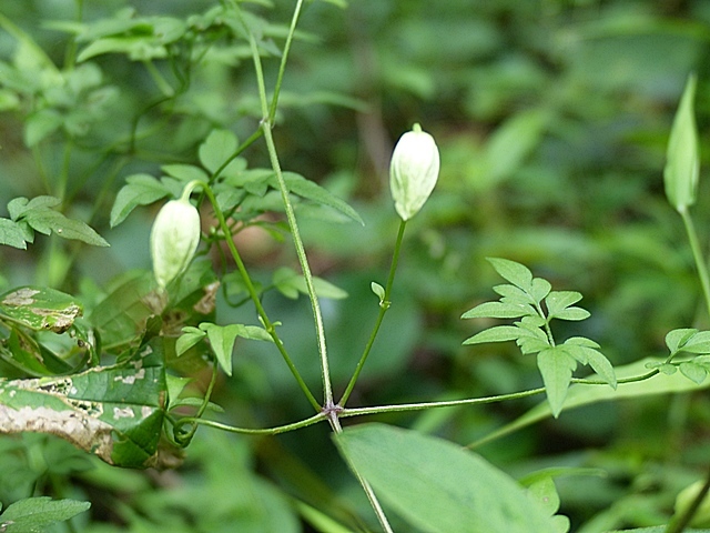 f0357487_00191480.jpg