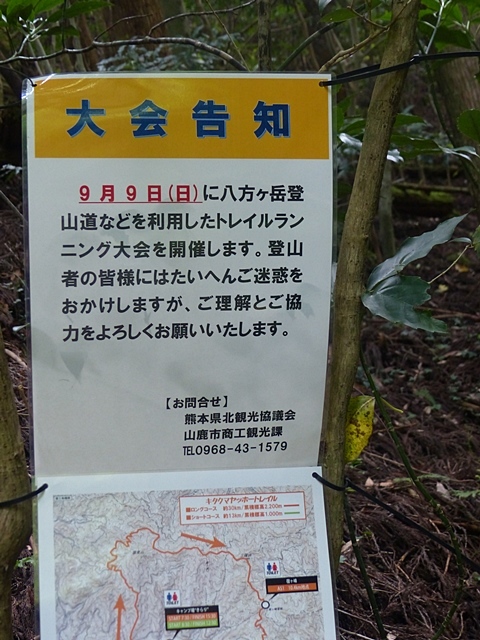 f0357487_20490259.jpg
