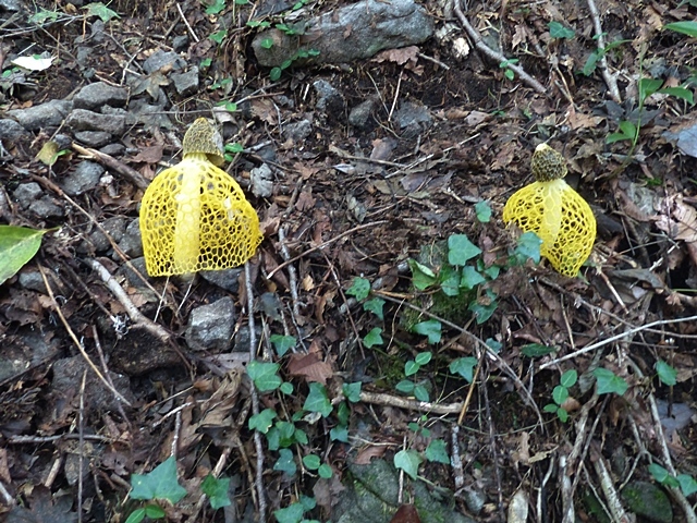 f0357487_21372570.jpg