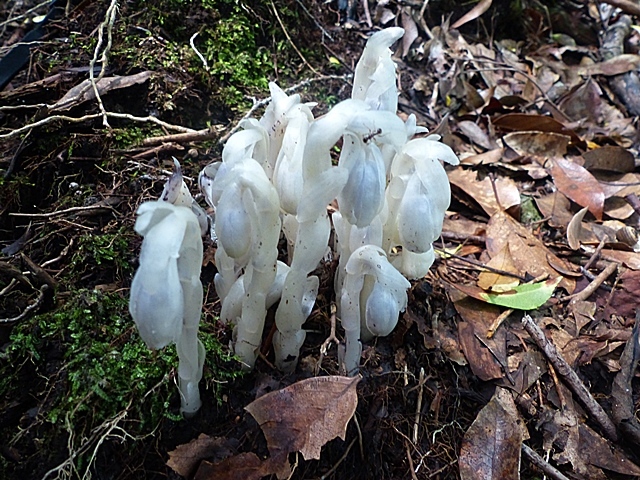 f0357487_21430740.jpg