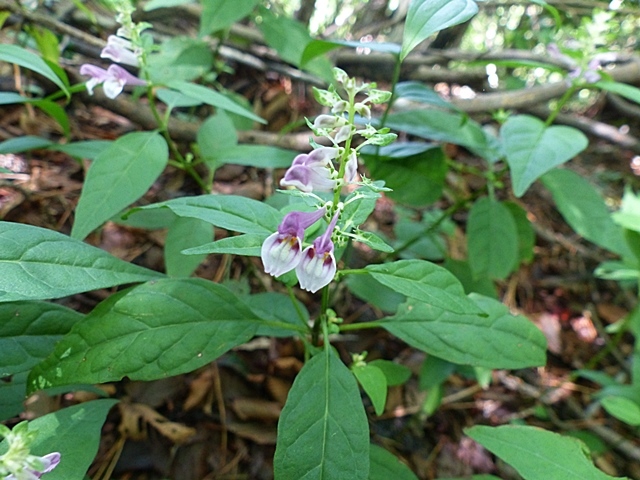 f0357487_21455495.jpg