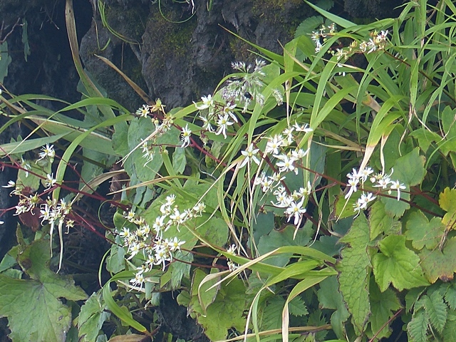 f0357487_23304065.jpg
