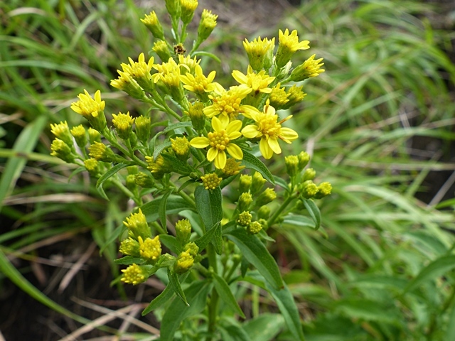 f0357487_23325647.jpg