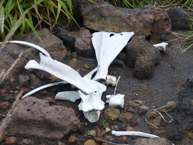 f0357487_23493598.jpg