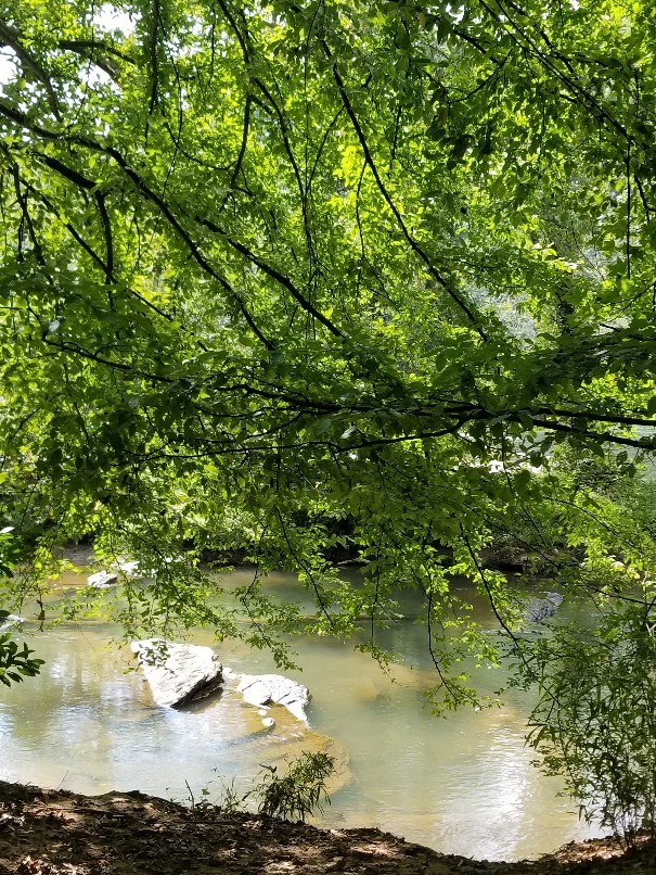 b0148991_06430828.jpg