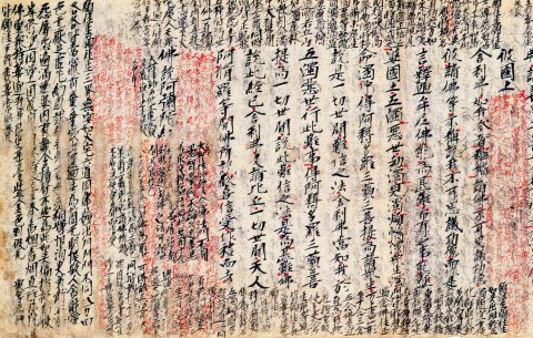 教行信証 : daily-sumus2 教行信証 : daily-sumus2
