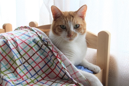 IKEAさんへ_a0333195_21564565.jpg