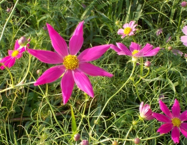 b0067795_21103790.jpg
