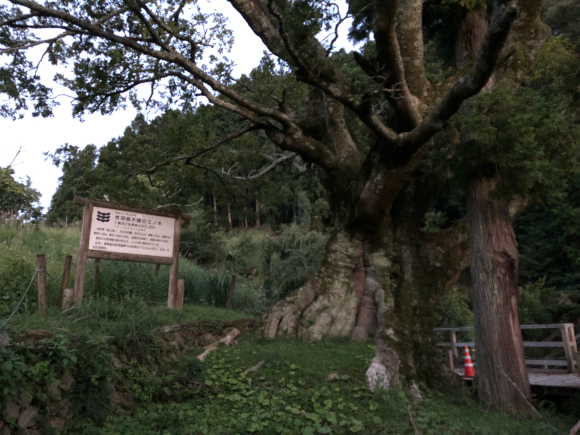 淡路島・おのころ神社ライトワークご報告_a0167003_19252201.jpg