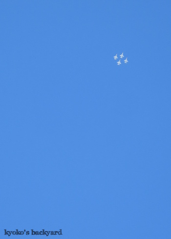 b0253205_08254374.jpg