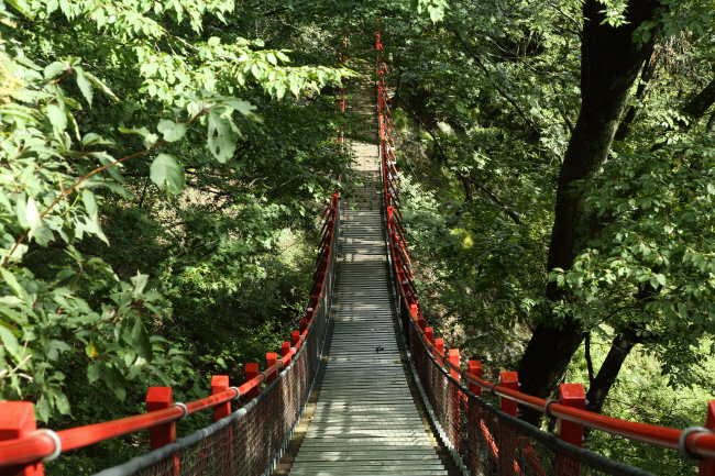 滝への道 _a0357206_22070973.jpg