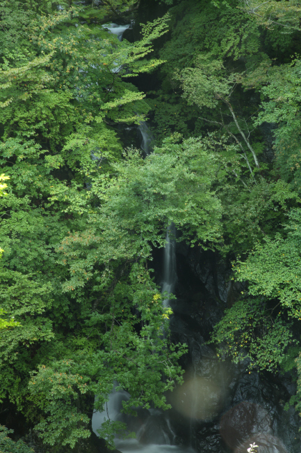 滝への道 _a0357206_22092878.jpg