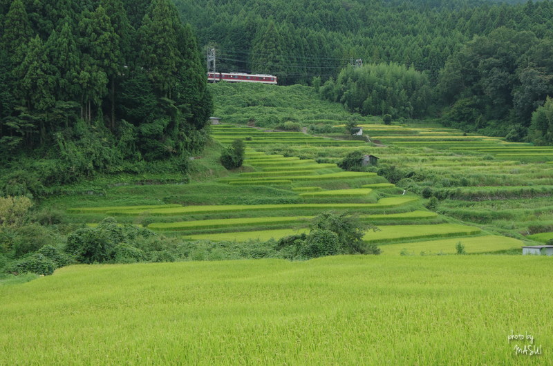 宇陀市榛原赤埴（アカバネ)　_d0342307_22111054.jpg