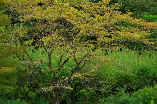 a0263109_19362073.jpg