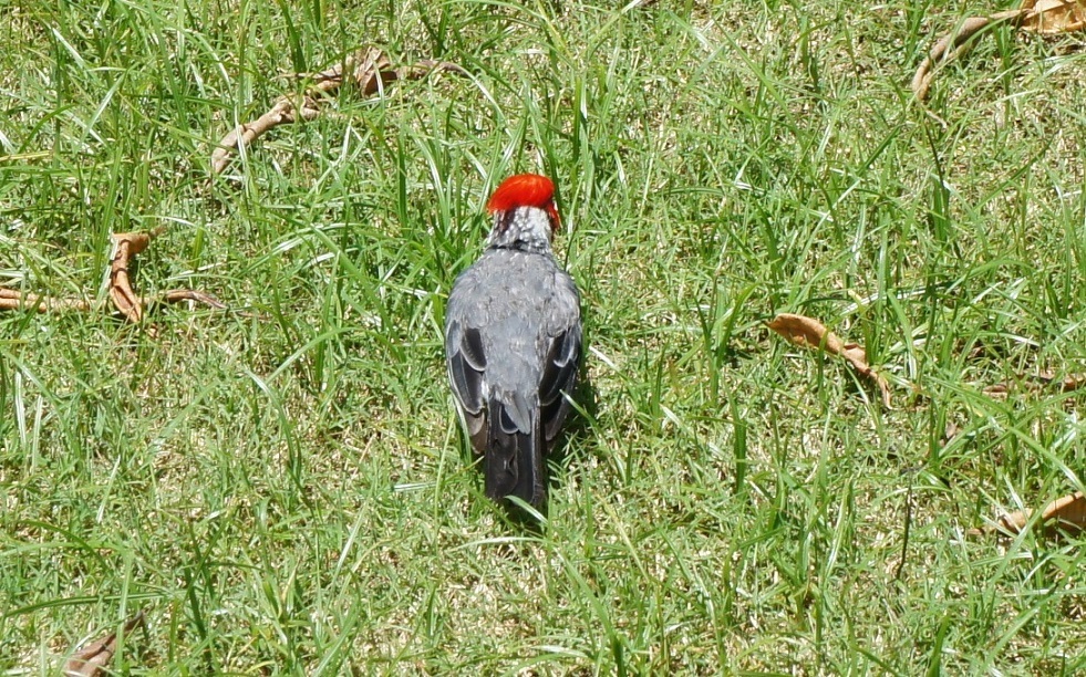b0112909_00512510.jpg