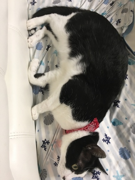 c0109109_19232047.jpeg