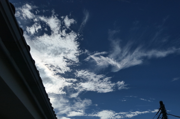 f0369014_12234765.jpg