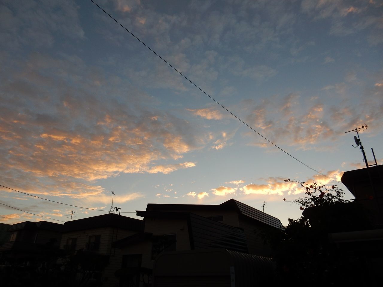 10月なみの寒さ_c0025115_21534144.jpg