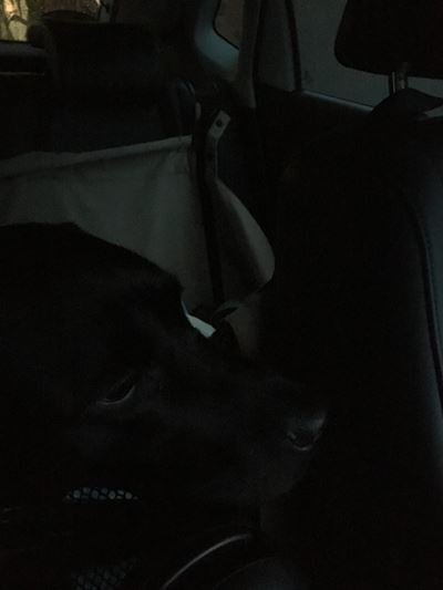 c0114121_00305879.jpg
