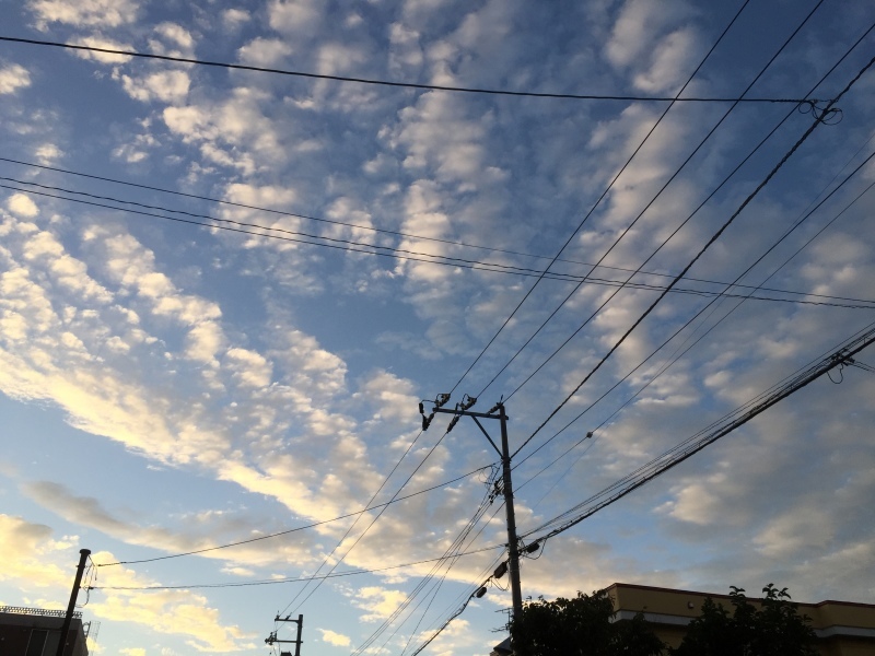 f0362725_17502100.jpg
