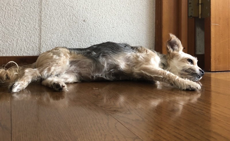 d0359930_23463062.jpeg